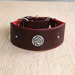 Celtic & Conchos Leather Martingale Collar (2 inch wide)
