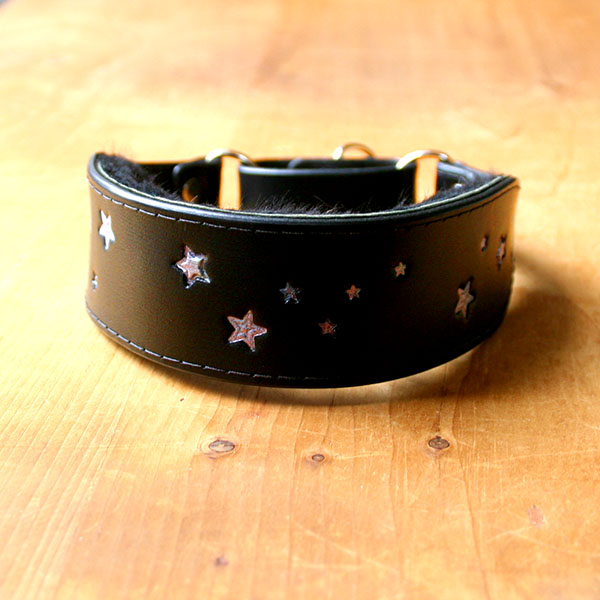 Shimmering Galaxy Stars Leather Martingale Collar (1.75 inch wide)