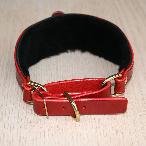 buckle-matringale-added-hearts-red_4