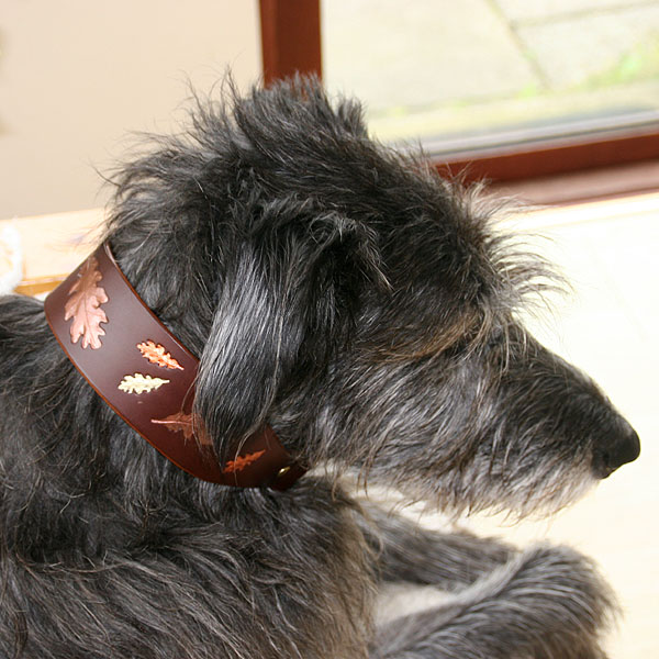 chestnut-xl-martingale-oakleaves_5