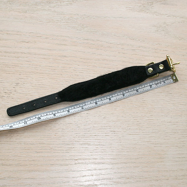 iggy-size-collar-test_6