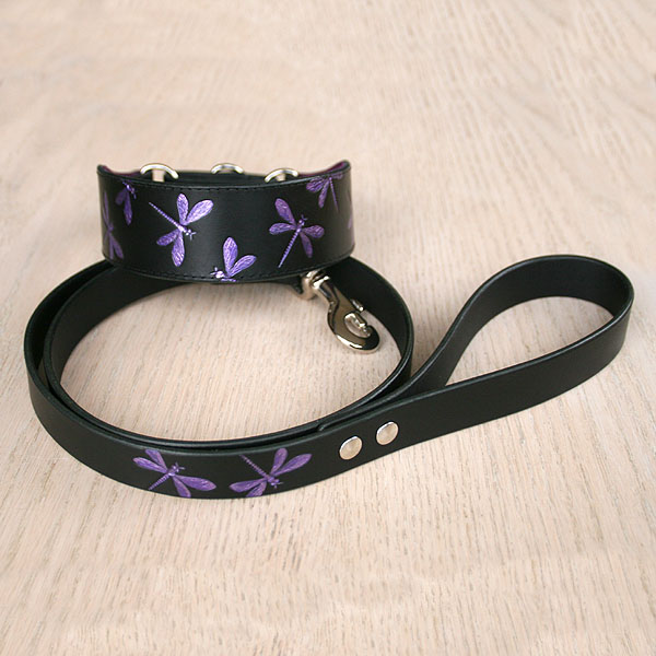 leather-buckle-collar-lead-set-irridescent-dragonfly-2-inch_1