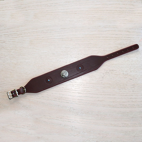 leather-buckle-collar-celtic-concho-crystals-2-inch-wide_2
