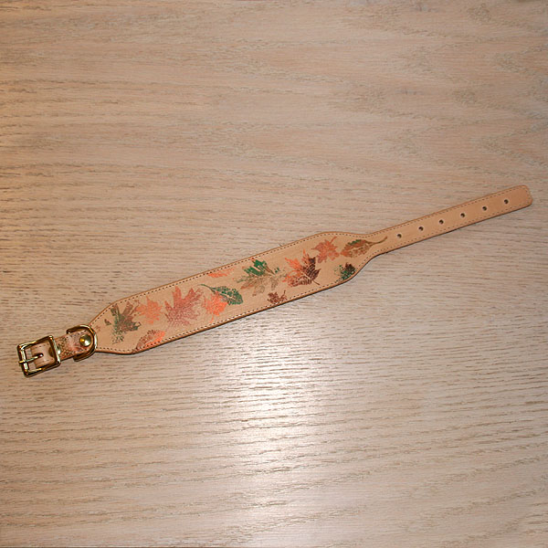 leather-buckle-collar-flat-painted-autumn-leaves-2-inch_2