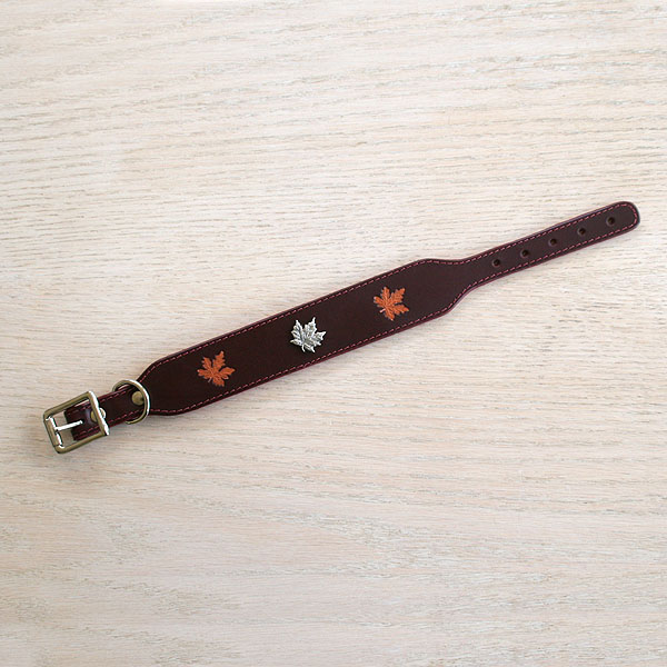 leather-buckle-collar-maple-concho-1-5-inch_2