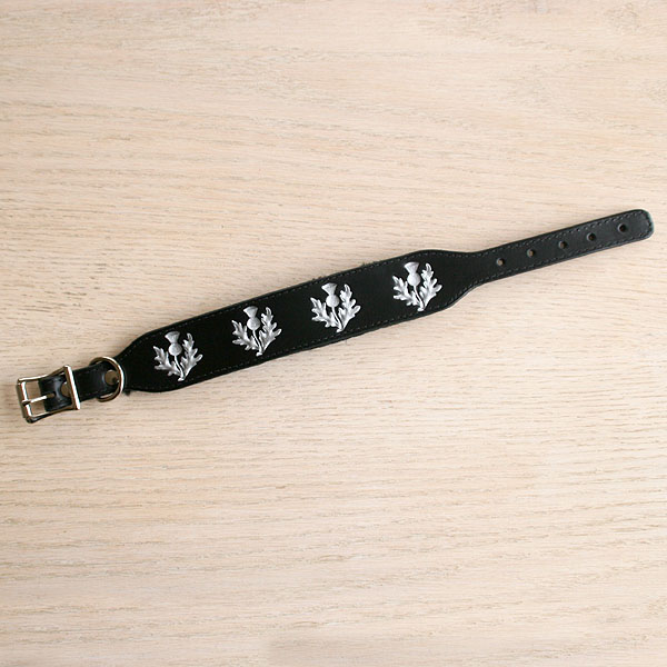 leather-buckle-collar-painted-thistles-1-5-inch-wide_2