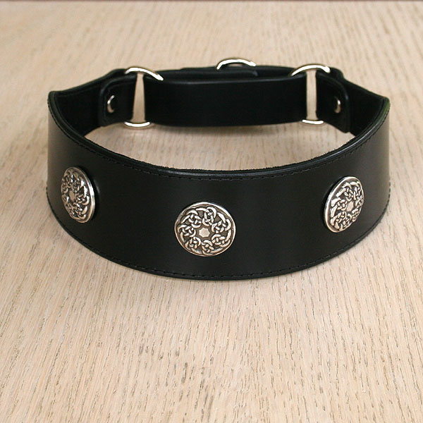 leather-martingale-collar-celtic-conchos-2-inch_1