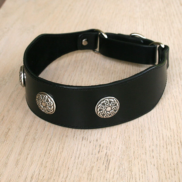 leather-martingale-collar-celtic-conchos-2-inch_2