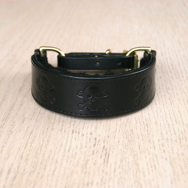 leather-martingale-collar-skulls-1-25-inch_1