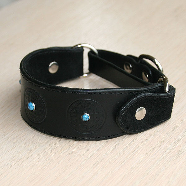 luxury-martingale-iggy-size_1