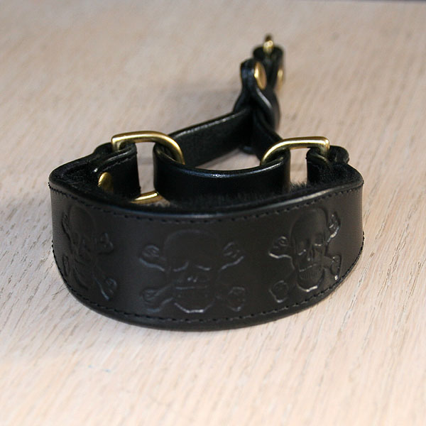 leather-martingale-collar-skulls-1-25-inch_1