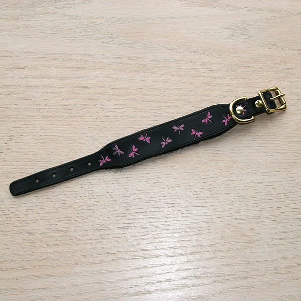 iggy-size-collar-test_3