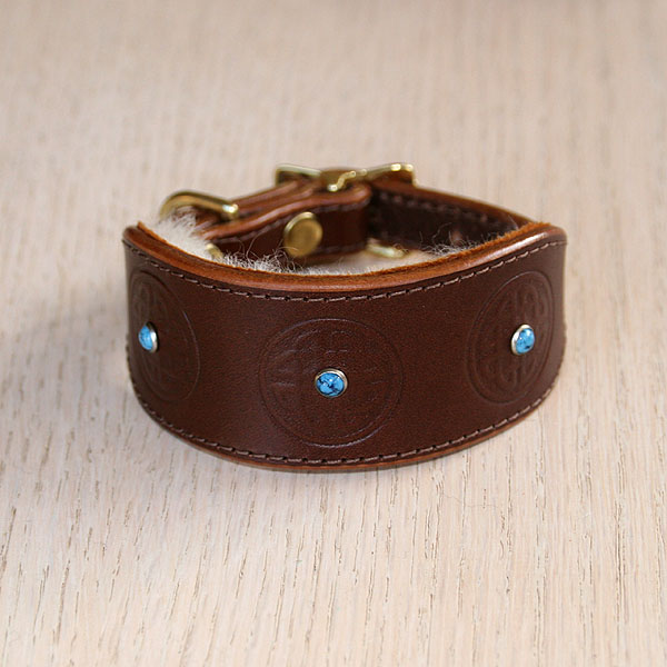 iggy-size-oriental-turquoise-buckle-collar_1