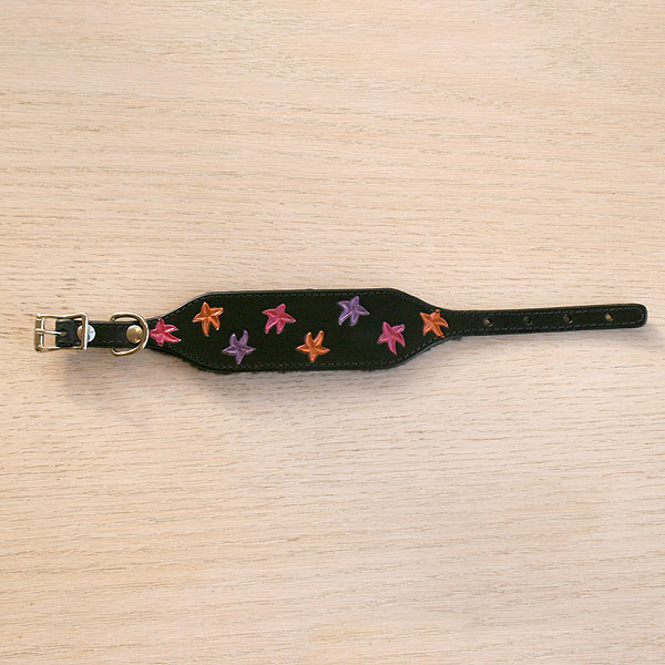 iggy-size-starfish-buckle-collar_2