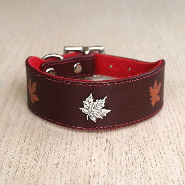 leather-buckle-collar-maple-concho-1-5-inch_1