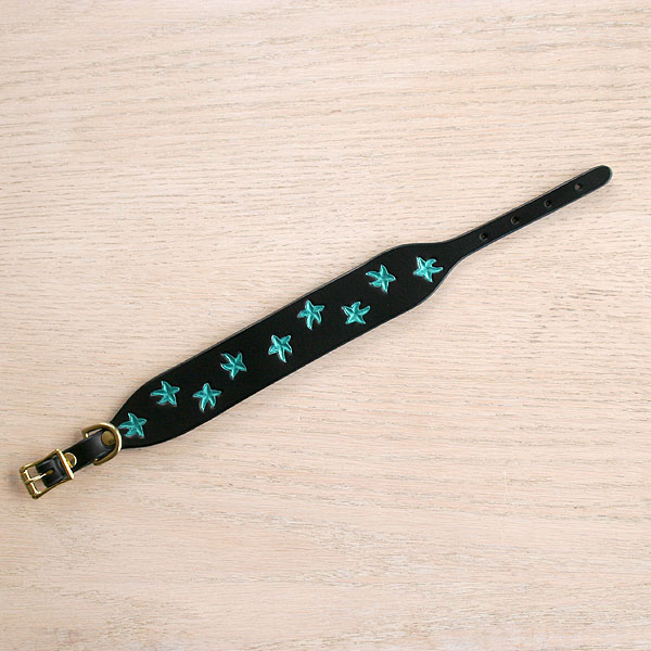 leather-buckle-collar-painted-starfish-green-small_2