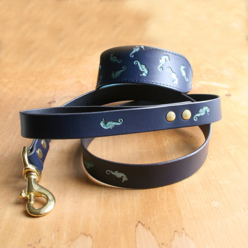 leather-colar-and-lead-set-random-seahorses-blue-1-inch_2