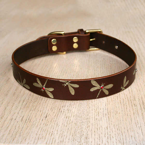leather-straight-collar-luxury-dragonfly-1-25-inch-wide_1