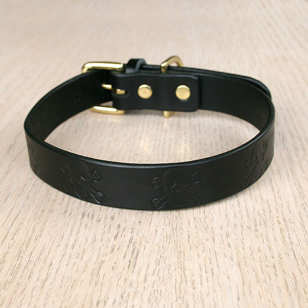 leather-straight-collar-skulls-1-inch-wide_2