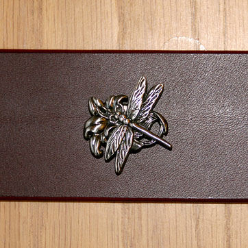 dragonfly_concho