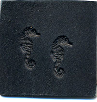 seahorses