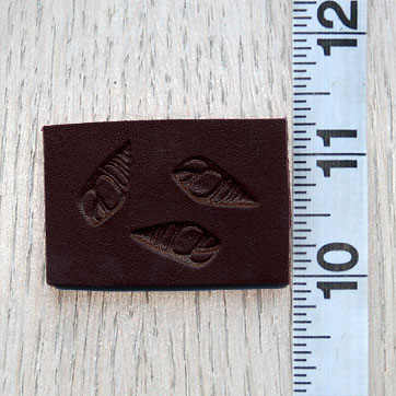 small_long_shells