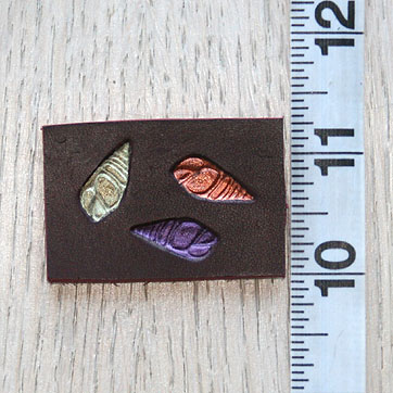 small_long_shells_painted