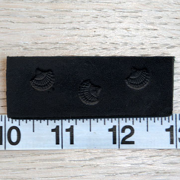 small_shells