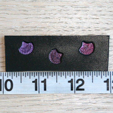 small_shells_pinks_purples