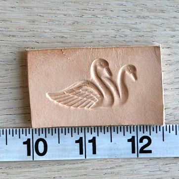 swans