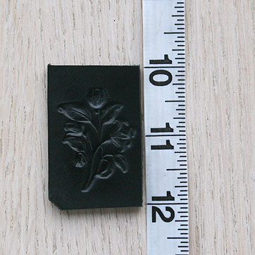 tulip