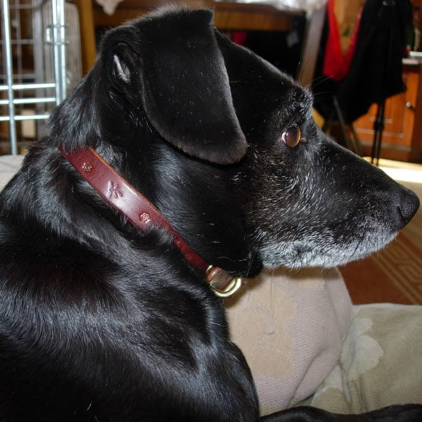 lilli