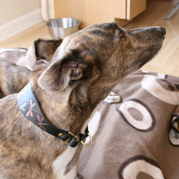 martingale-v2-dragonflies_4