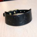 Dragonfly Collar