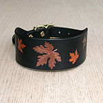 Autumn Maple Leaves Collar