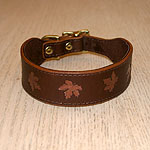 Maple Leaves Collar