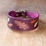 Autumn Oak Collar