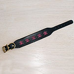 Painted Skulls Collar