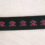 Painted Skulls Collar