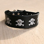 Painted Skulls Collar