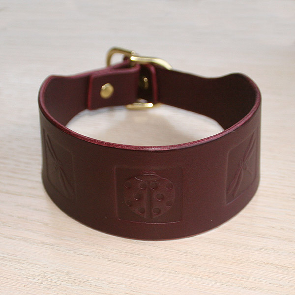 Boxed Bugs Leather Slip Collar (2 inch wide)