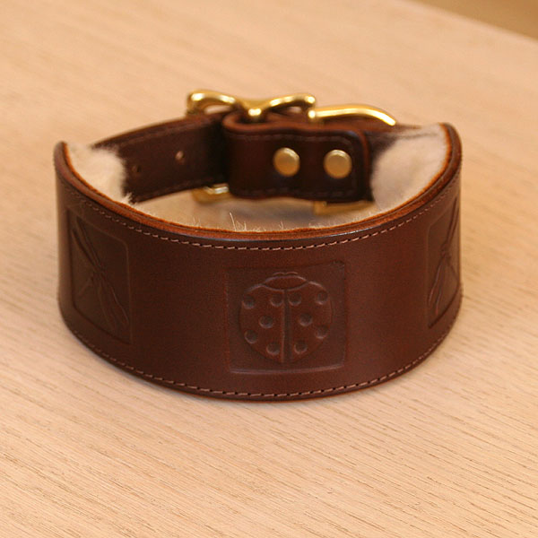 Boxed Bugs Leather Buckle Collar (2 inch wide)