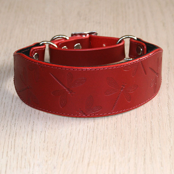 Dragonflies martingale collar