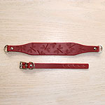 Dragonflies Leather Martingale Collar