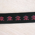 Painted Skulls Leather Buckle Collar (2 inch wide)