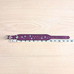 Galaxy Stars Buckle Collar