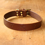 Dragonfly Collar