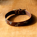 Iridescent Dragonfly Collar